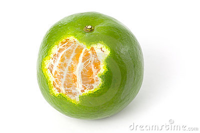 single-green-mandarin-orange-2589849.jpg
