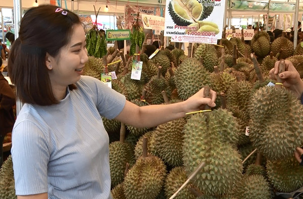 sisaket durian.jpg