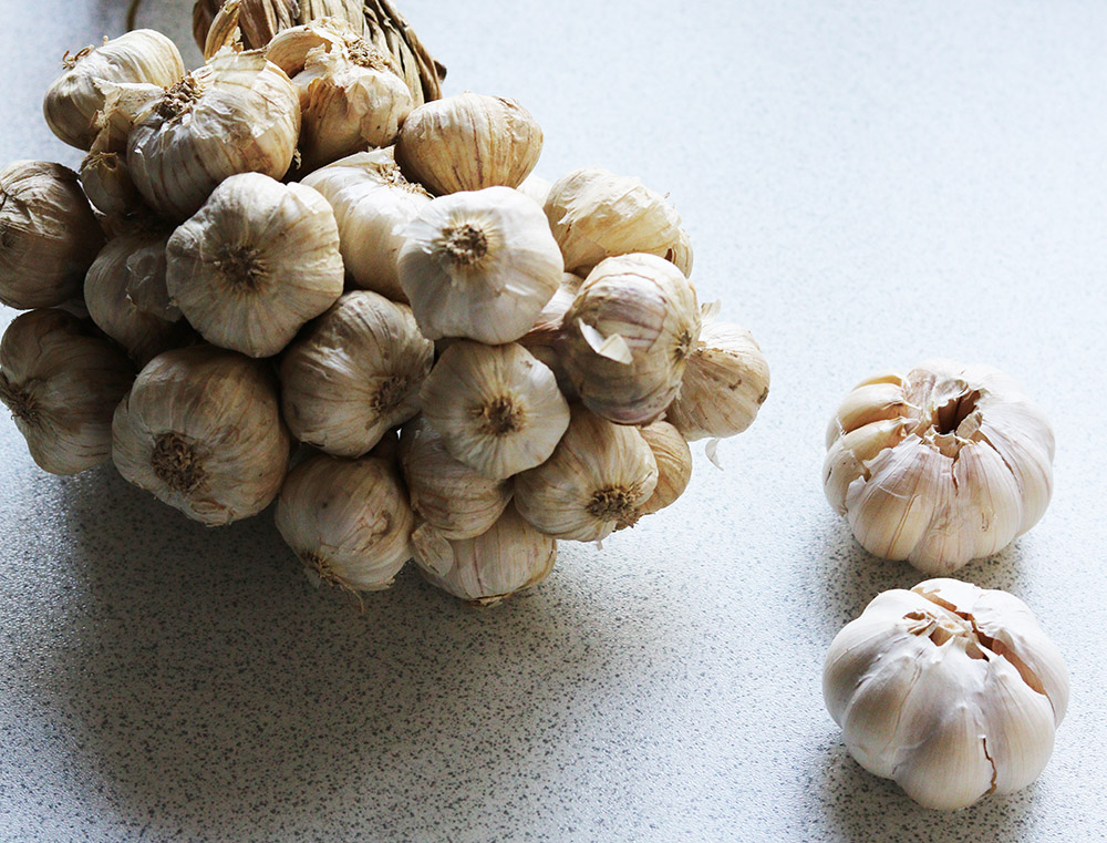 small garlic s.jpg