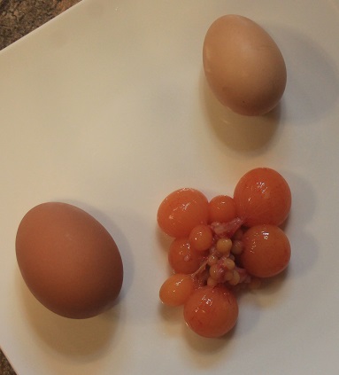 soup-egg-sizes-2.jpg