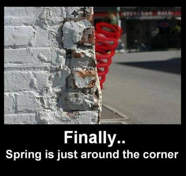 Spring is around the corner!.png