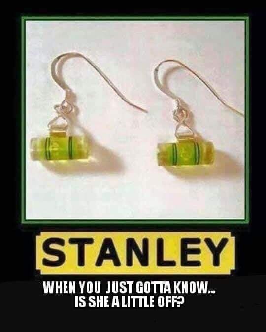 stanley earrings.jpg