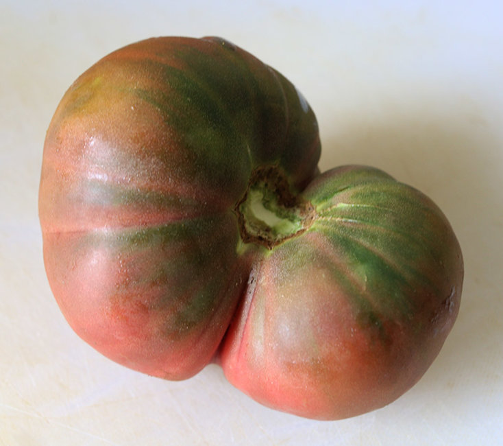 strange tomato s.jpg