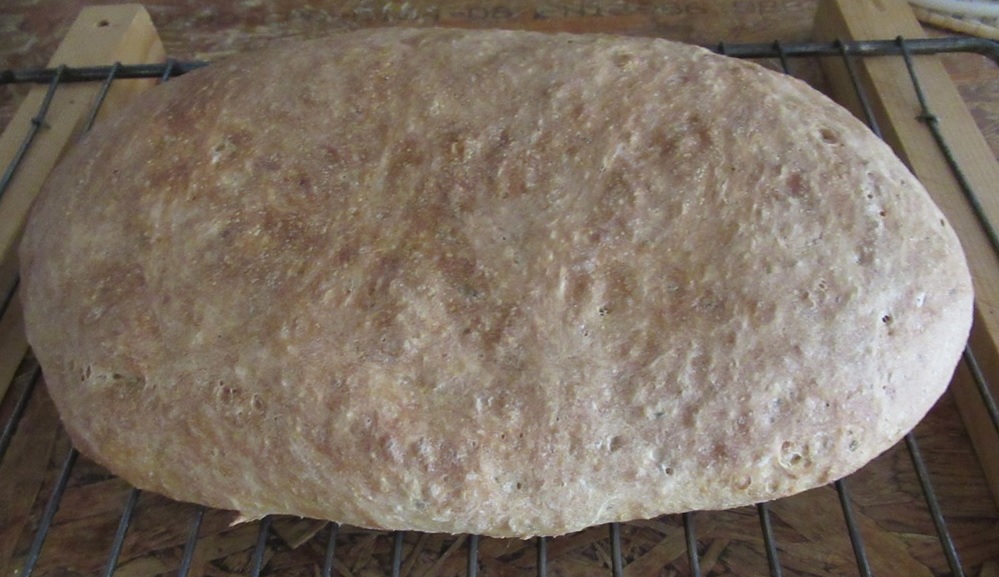 Thyme bread baked cropped.jpg