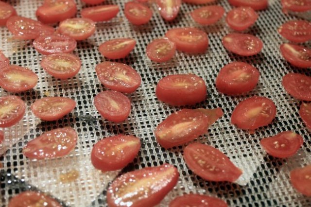 tomatoes-prior.jpg