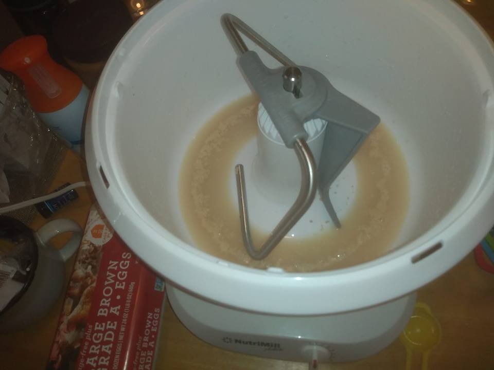 Water, yeast & sugar in mixer bowl..jpg