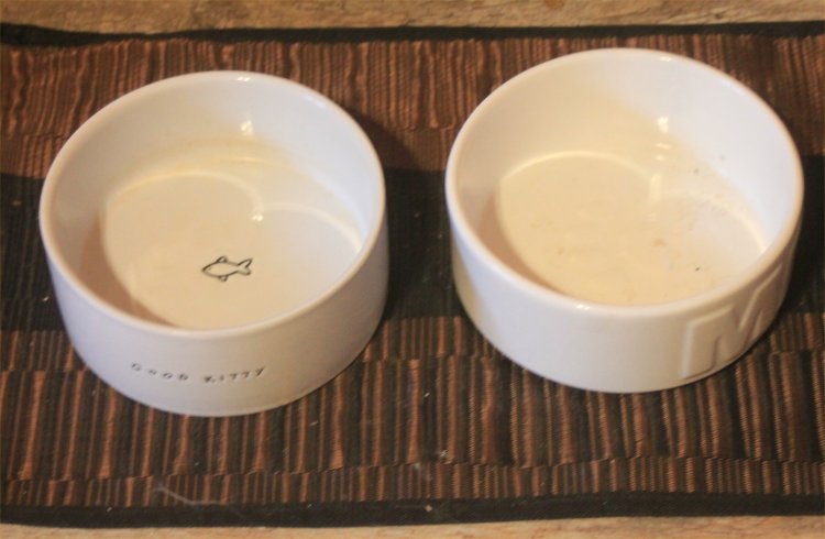white cat bowls-.jpg
