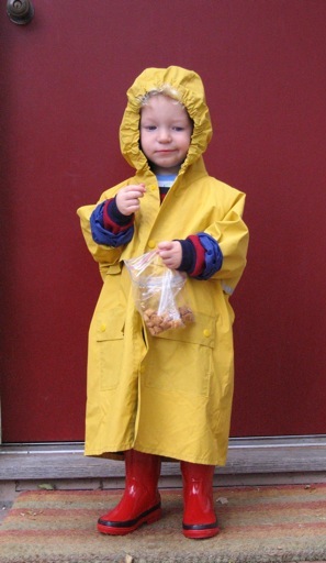 Yellow_Raincoat.jpg