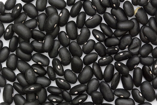 1024px-Black_Turtle_Bean.jpg