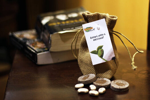 original_beanstalk-magic-talking-seeds2.jpg