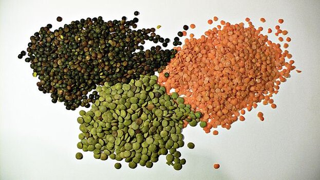 640px-3_types_of_lentil.jpg
