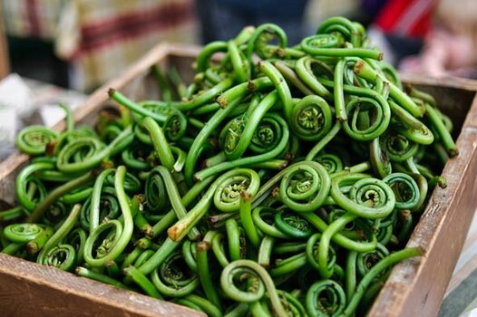 fiddleheads-crate.jpg