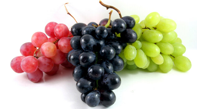 grape_000003495719_Small.jpg