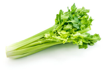 celery.jpg
