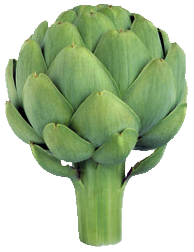 home-artichoke.png home-artichoke.png
