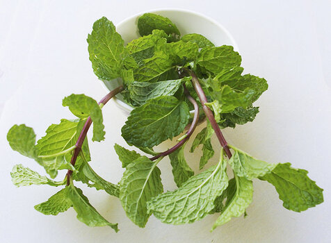 mint s.jpg mint s.jpg