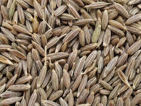 1-cumin-seeds-jeera-752090.jpg 1-cumin-seeds-jeera-752090.jpg