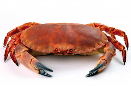1687208676537.png