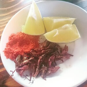 Chapulines, chile salt, limes Coyoacán.jpg