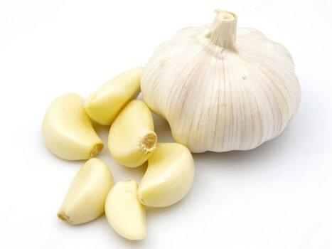 Garlic2-1020x765.jpg Garlic2-1020x765.jpg