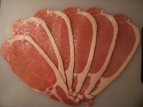 500px-Bacon.JPG