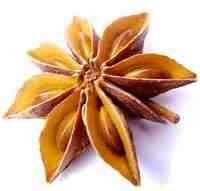 star-anise-2.jpg star-anise-2.jpg