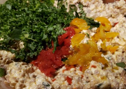 Hugarian hot cream cheese, sausage and veggies stuffing.jpg Hugarian hot cream cheese, sausage and veggies stuffing.jpg