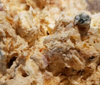 Smoked salmon and cream cheese spread with shallot and capers.jpg Smoked salmon and cream cheese spread with shallot and capers.jpg