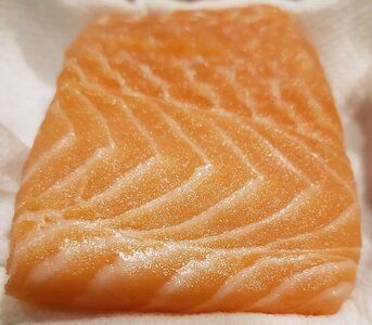 sushi arancini salmon.jpg sushi arancini salmon.jpg