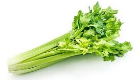 celery_w270.jpg celery_w270.jpg
