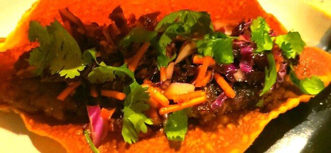 Lamb teriyaki tacos plated 1.jpg