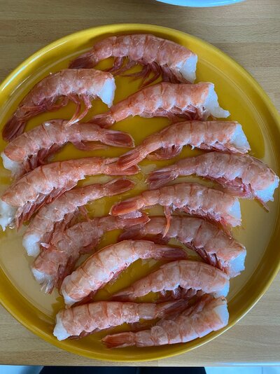 IMG_8889.jpeg IMG_8889.jpeg