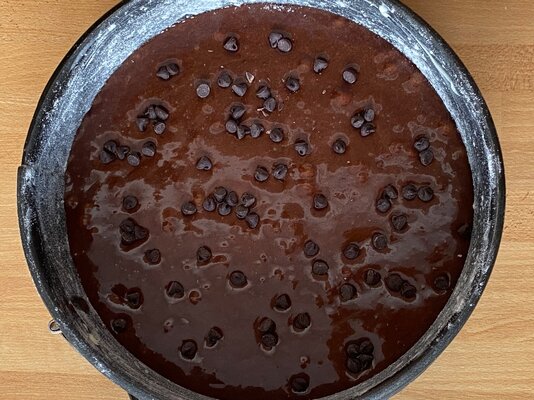 IMG_8921.jpeg IMG_8921.jpeg