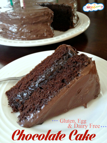 Gluten-Egg-Dairy-Free-Chocolate-Cake-2.png
