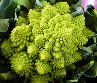 ROMANESCO-2.jpg