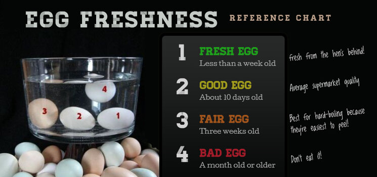 Eggtest.jpg