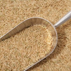 Brown-Rice.jpg