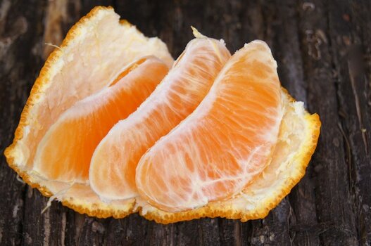 sumocitrus1.jpg