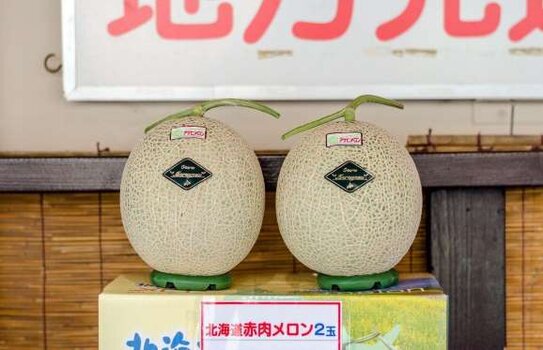 melons 27000.jpg melons 27000.jpg