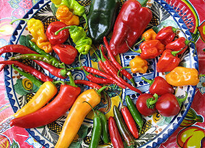 SantaFeChili.jpg