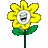 amr13