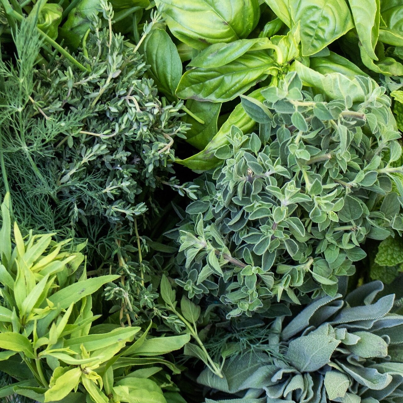 The current recipe challenge is herbs