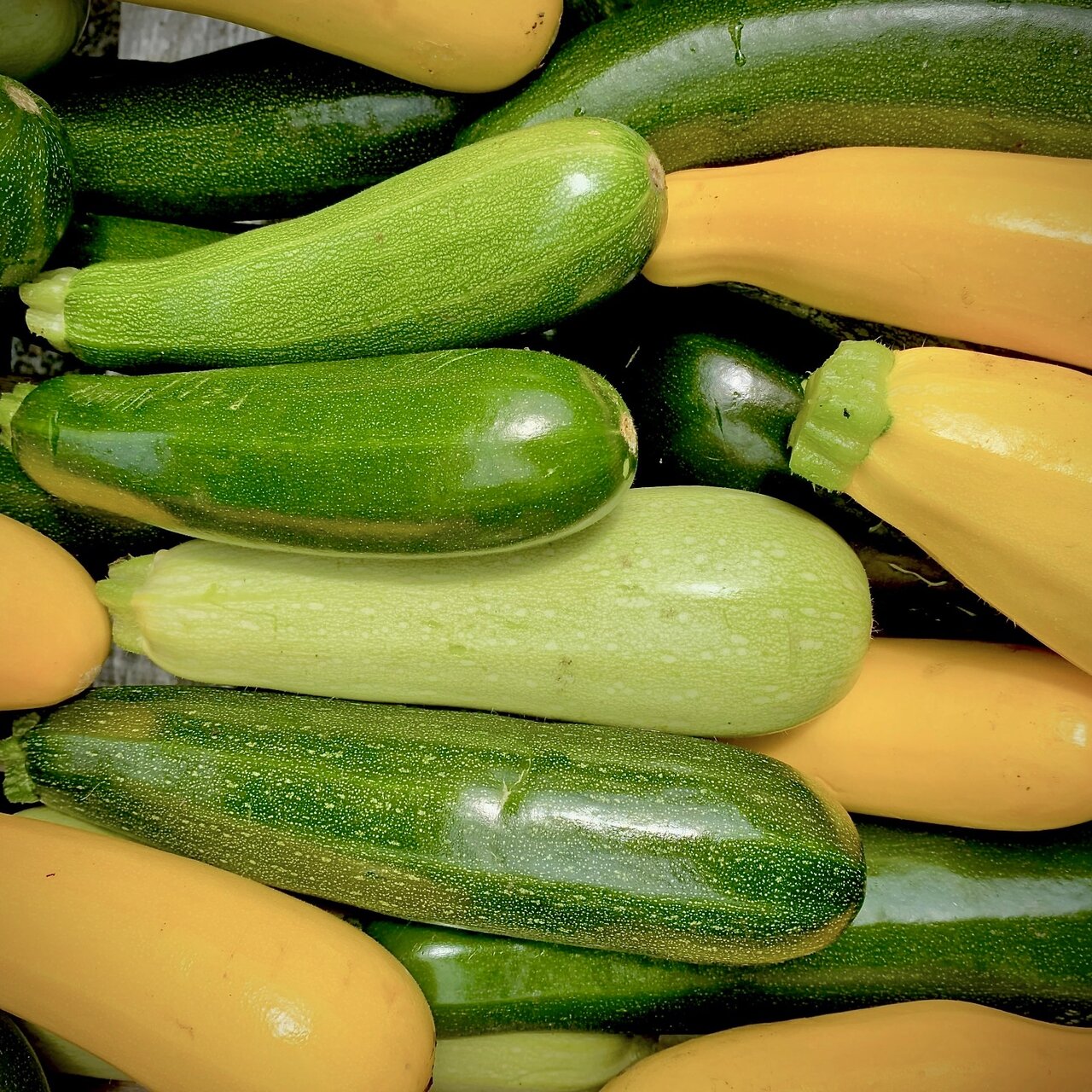 The challenge ingredient is courgettes/zucchini