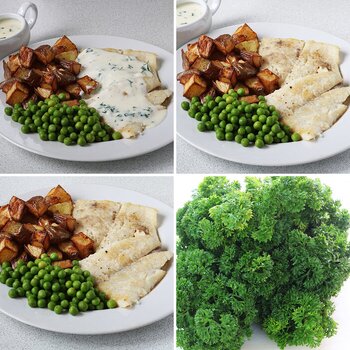 Halibut