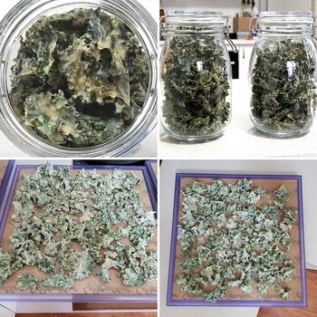 Sweet White Miso Kale Crisps