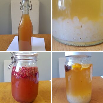 Water Kefir