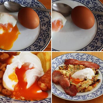 Poached eggs