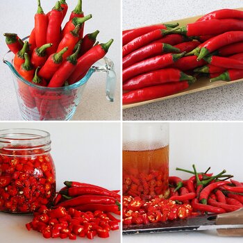 Chillis.