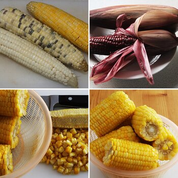 Sweetcorn