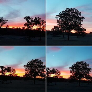 Sunset (28th January)